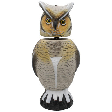 Owl Decoys