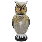 Owl Decoys