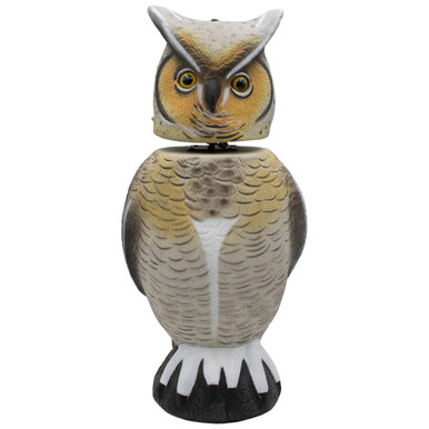 Owl Decoys