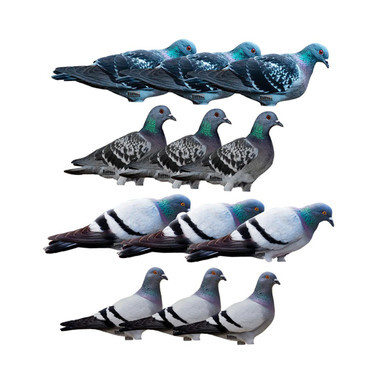 Pigeon Decoys