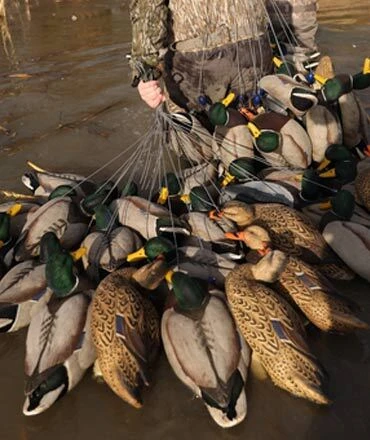 DUCK DECOYS
