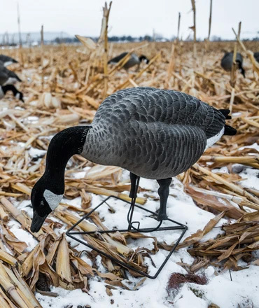 GOOSE DECOYS
