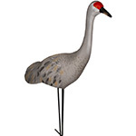 Sandhill Crane Decoys