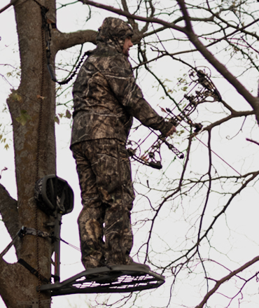 Treestands