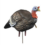 Turkey Decoys