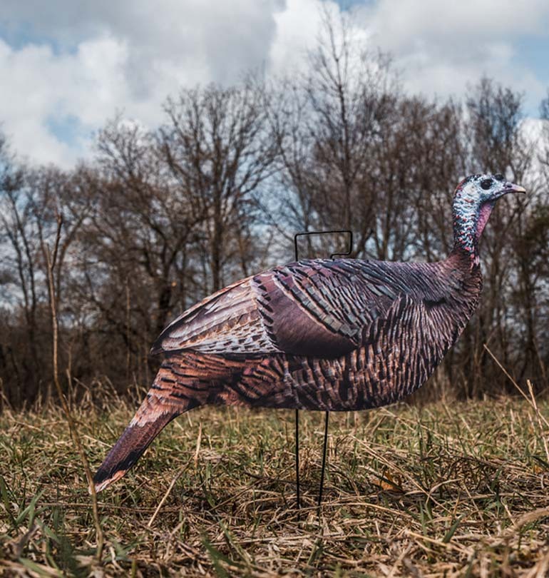 Sporting Goods in Illinois