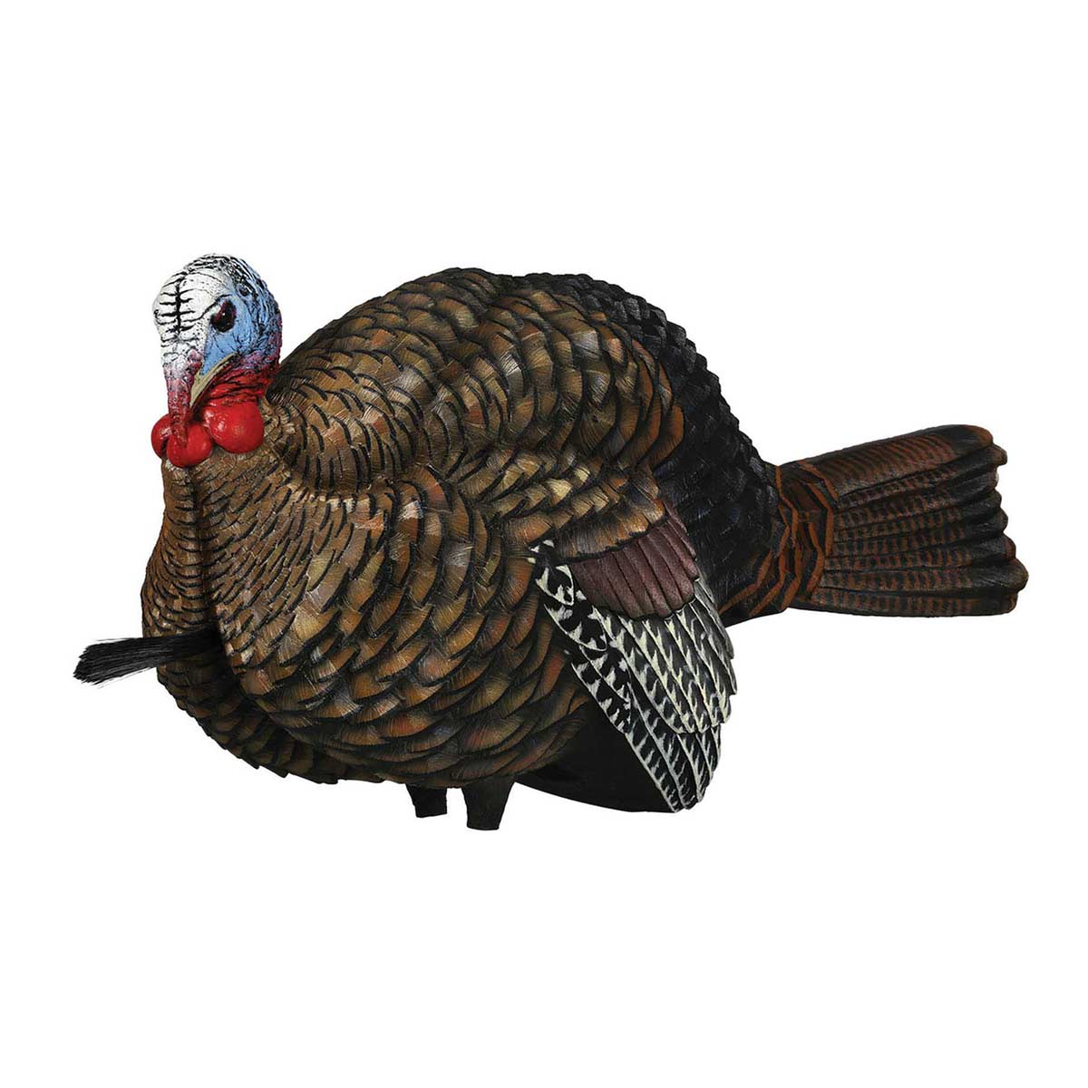 Avian-X 8012 LCD Half-Strut Jake Turkey Decoy | Rogers Sporting Goods