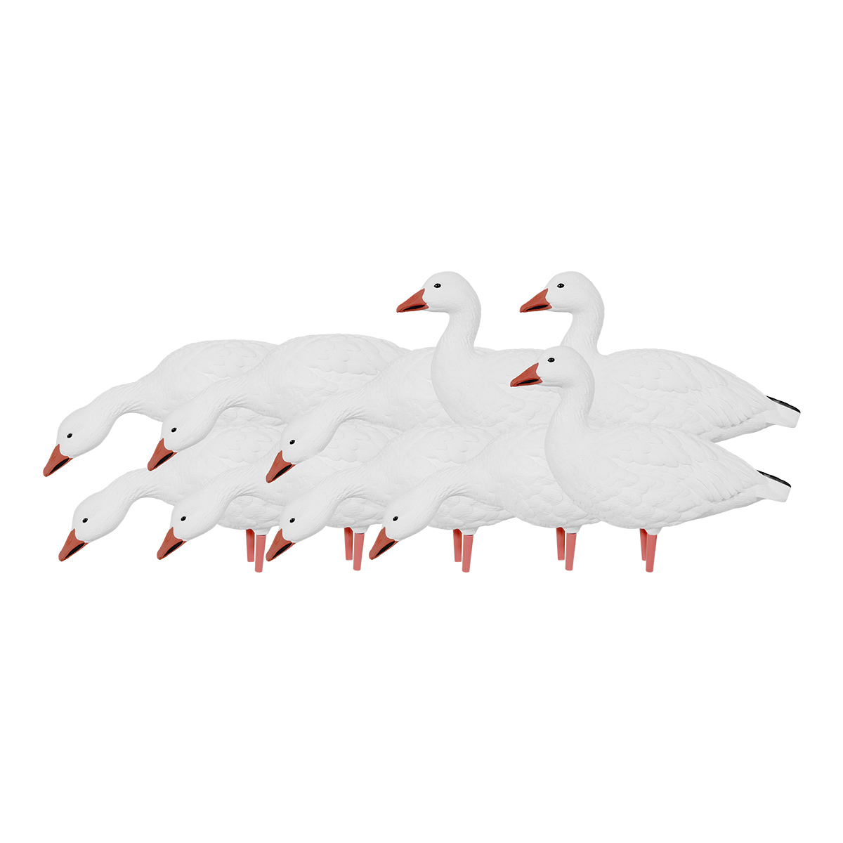 gooseページ AVIAVX9060__53433.1721150231.