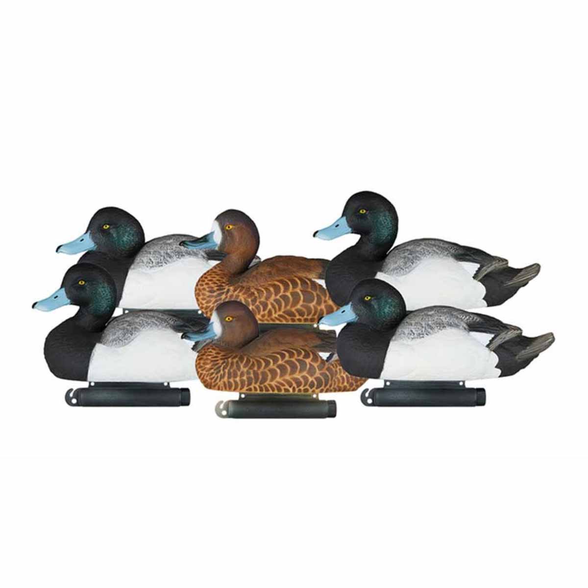 Dakota Decoy X-Treme Bluebill Decoys, 6 Pack | Rogers Sporting Goods