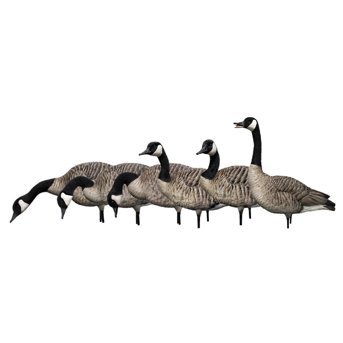 Avian-X AXF Fully Flocked Fusion Honkers | 6 Pack | Rogers