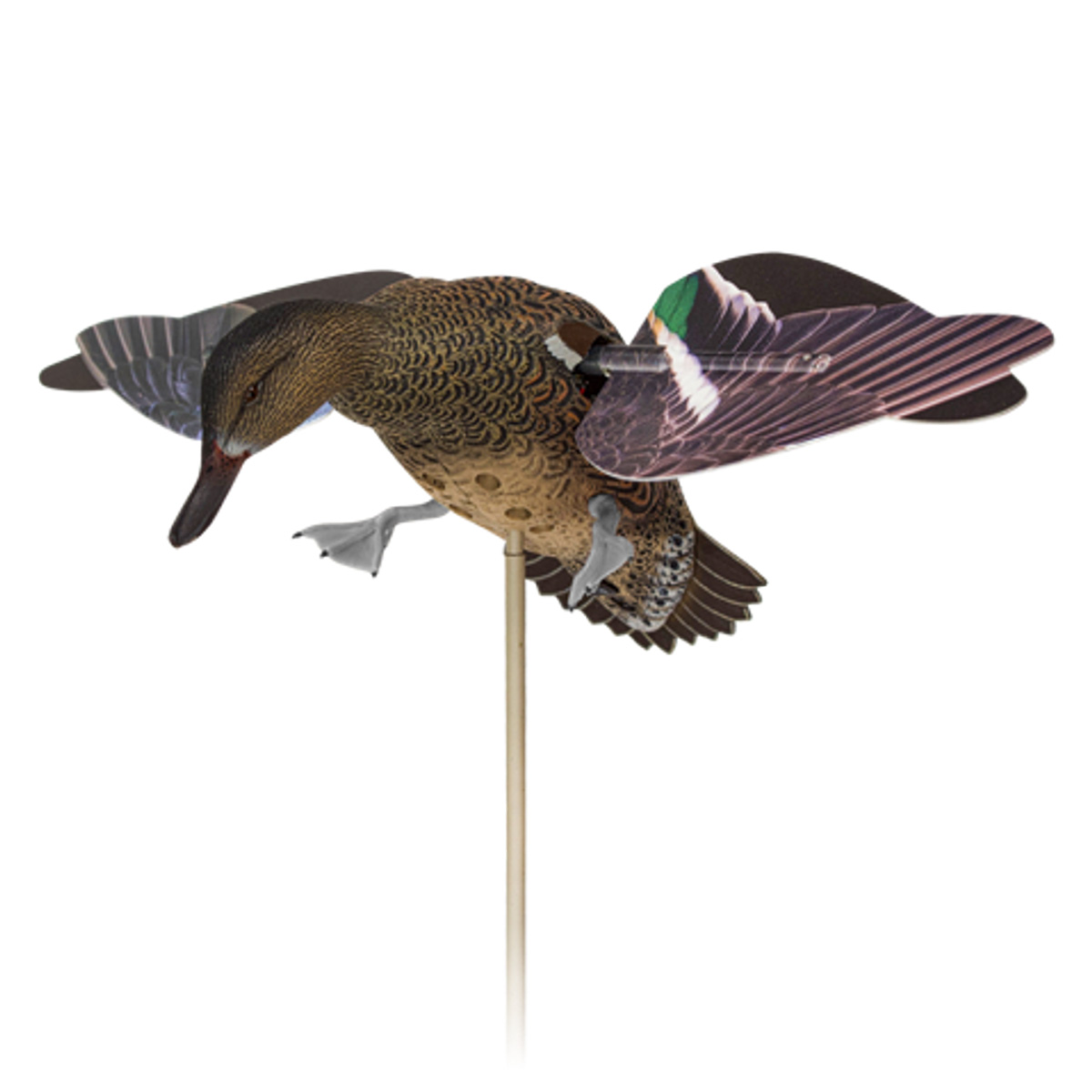 AVIAVXPFLHT1__54920.1756402830