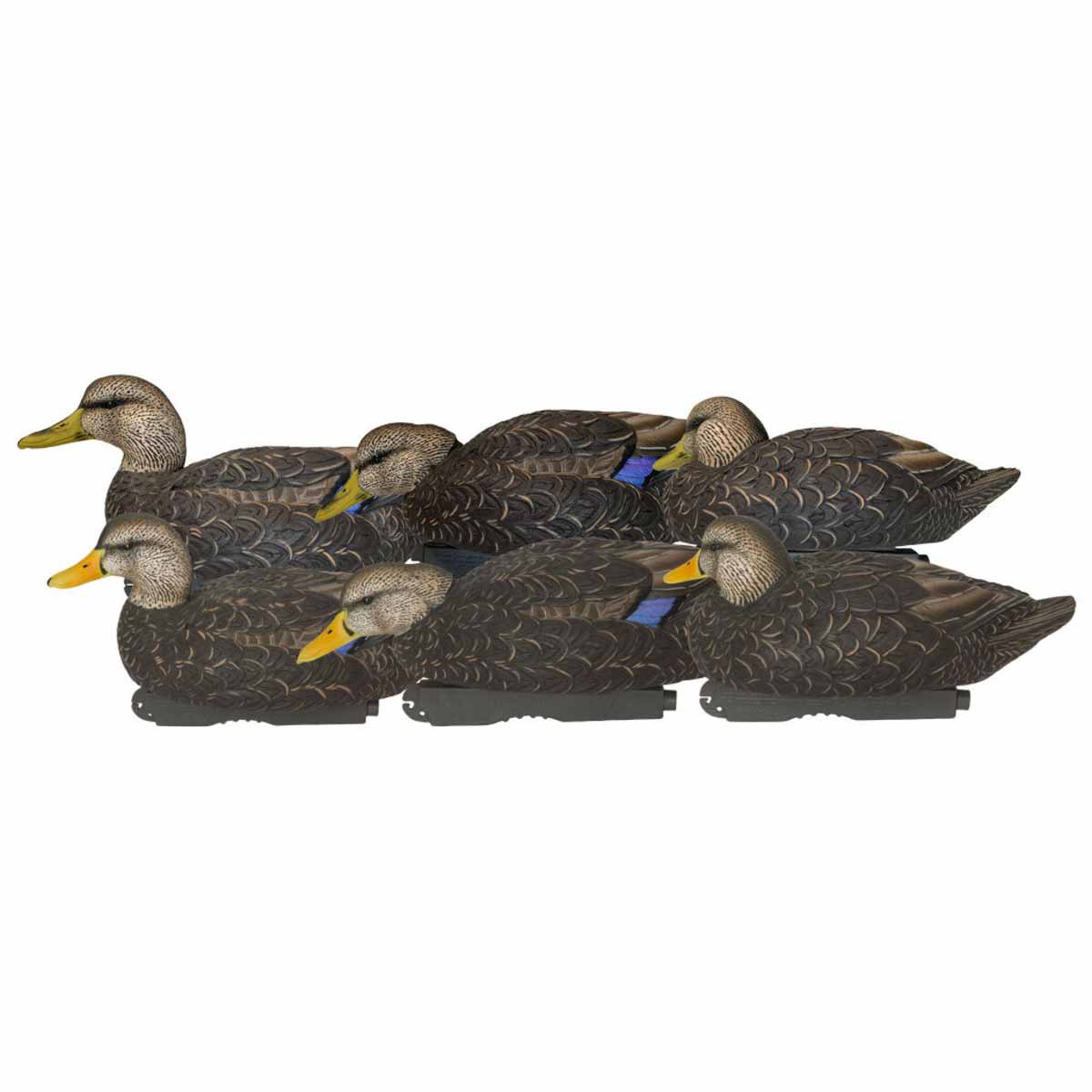 GHG Pro Grade XD Series Black Ducks - Harvester 6 Pack | Rogers