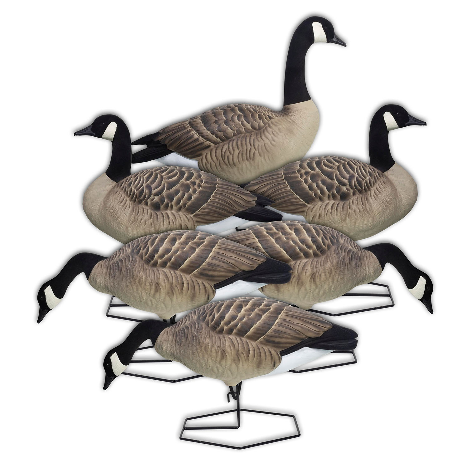 3F 激レア デットストック アオシマ ファイバーオプティクス ボーイング767 DOA Decoys Rogue Series Full Body Canada Goose Decoys | Rogers