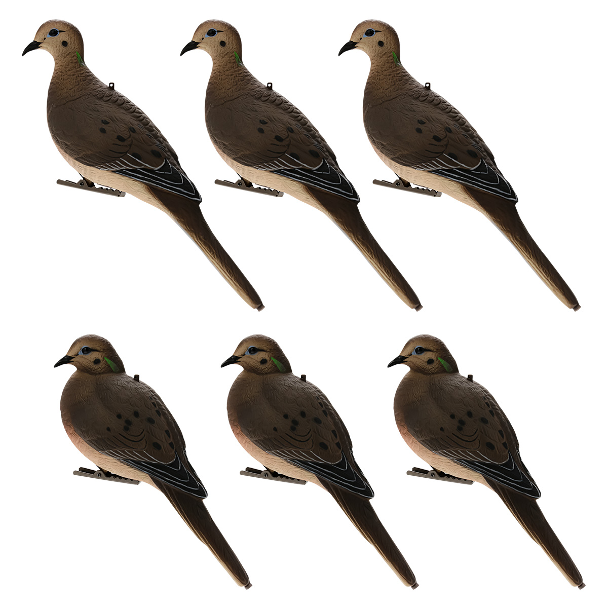  バード　 Dove Avian-X AXP Full-Body Dove Decoys | Rogers Sporting Goods