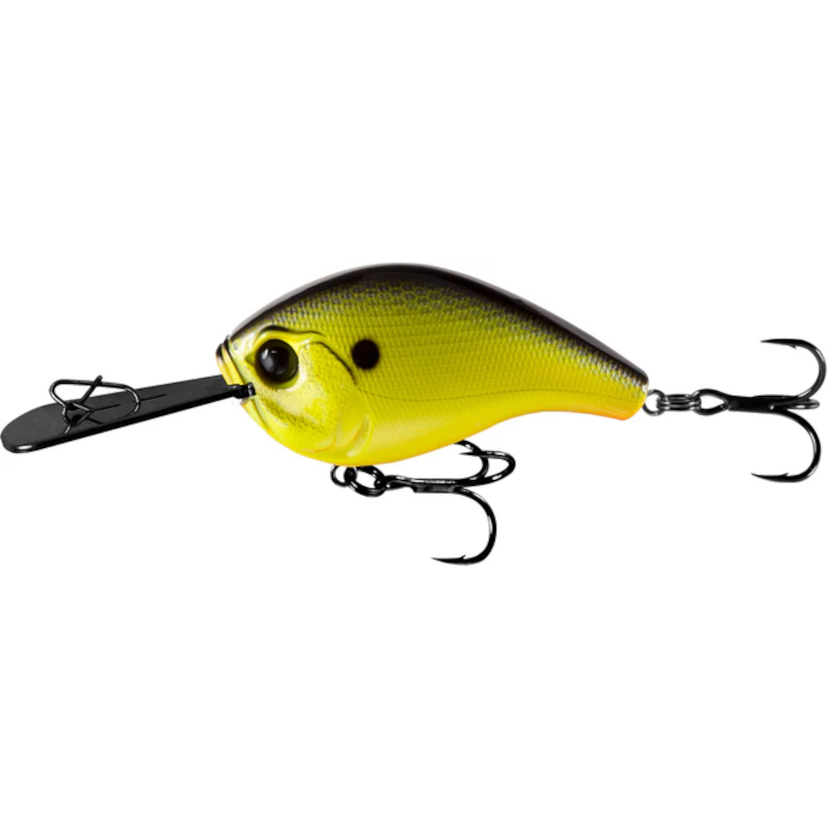 13 Fishing Jabber jaw - Deep Hybrid Squarebill | Rogers
