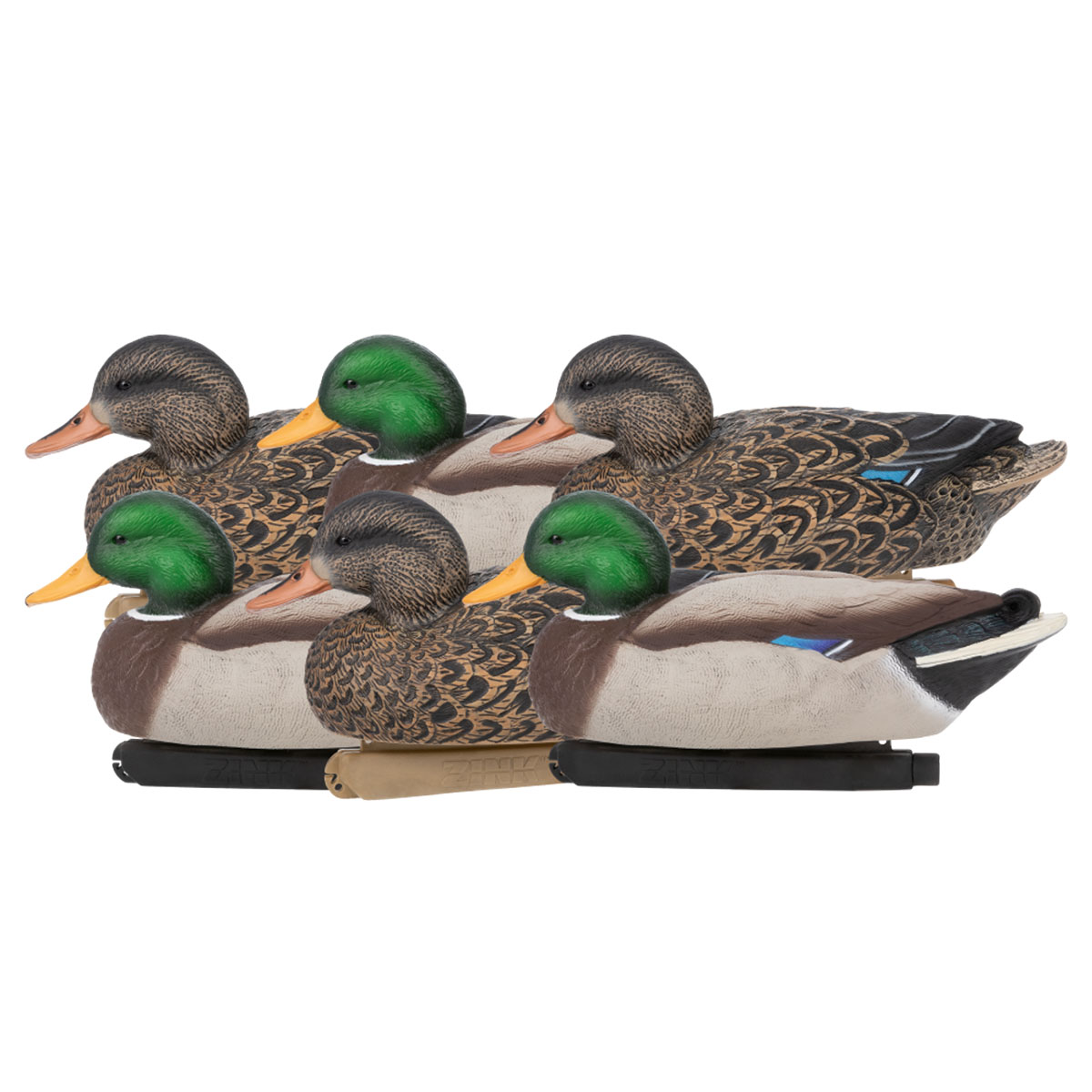 Zink Hunter Series Floater Mallard Decoys - 6 Pack | Rogers