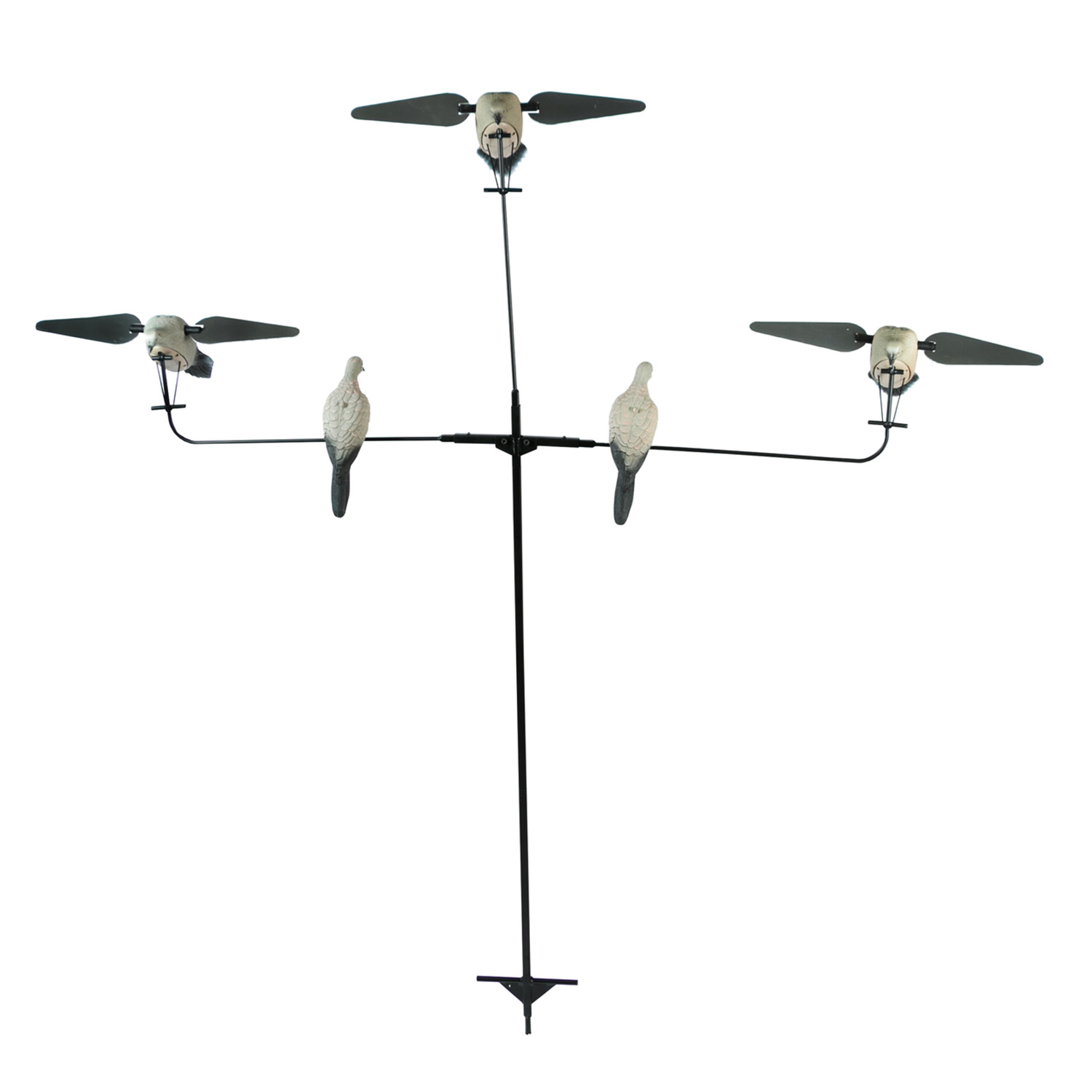 DOVE タッパー EX213002511__57710.1753812493.