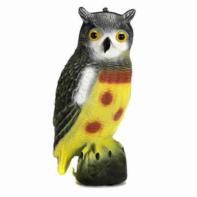 OwL デモ 0000000033052_qnq24rB.jpg