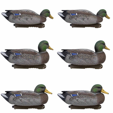 Live Early Season Mallards, 6 Pack (FA-220302)