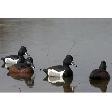 Standard Ringneck Foam-Filled Duck Decoys, 12 Pack