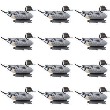 Last Pass Floating Pintail Decoy, 12 Pack (FA-233520)