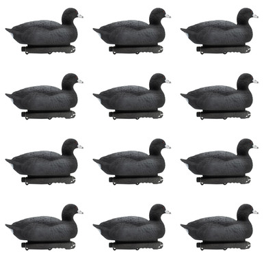 Last Pass Floating Coots Decoys, 12 Pack