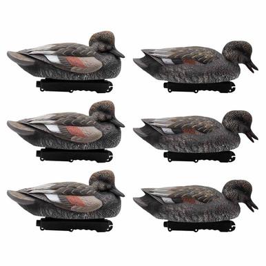 HD Gadwall Floating Duck Decoys, 6 Pack (FA-244604)