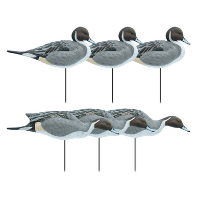 Full Body Pintail Decoys, 6 Pack