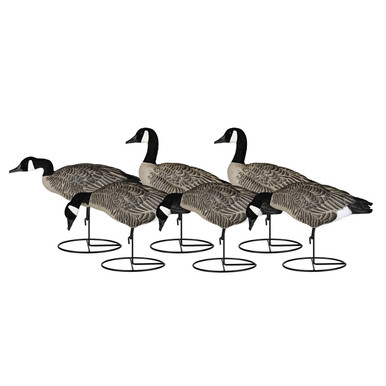 Dakota Decoys X-Treme Life-Size Canada Goose Decoys with Flocked