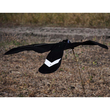 Wingbeat Canada Goose Power Flapper (SIL-1760)