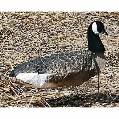 3-D Sentry Canada Goose Windsocks, 12 Pack (SIL-1432)