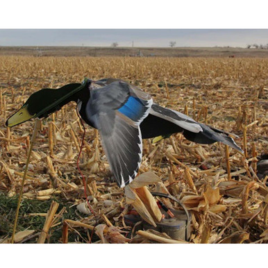 Wingbeat Mallard Hen Power Flapper
