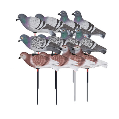  バード　 Dove Gibson Dove|ドルフィンギターズ
