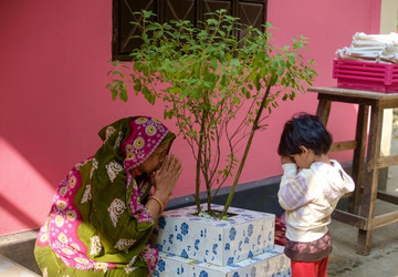 Holy Basil’s Contribution to Peace of Mind, Body, and Spirit 
