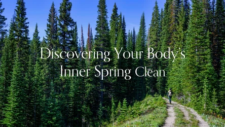 Discovering Your Body’s Inner Spring Clean: The Wonders of Autophagy and Gentle Renewal