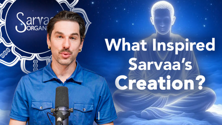 Sarvaa's Origin Story Sarvaa's Origin Story