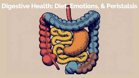 General Digestive Health: Stress, Diet Sensitivities, Microbiome, and Peristalsis 
