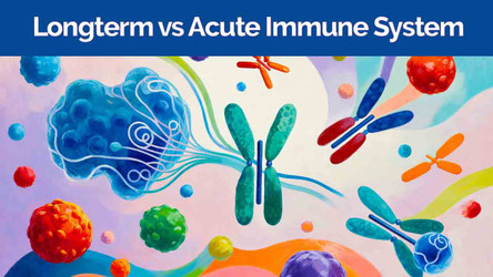 Building Immunity Is a Long Game — Here’s How to Support It Naturally