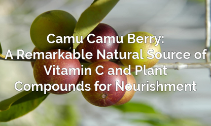 Camu Camu Berry: A Remarkable Natural Source of Vitamin C and Plant Compounds for Nourishment 