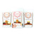 Sarvaa's CHOCOLATE ALL DAY PACKAGE - SAVE $24! Delicious, Organic Cacao Protein Powders, Conscious Cacao, and Artisan Dark Chocolate Bar!
