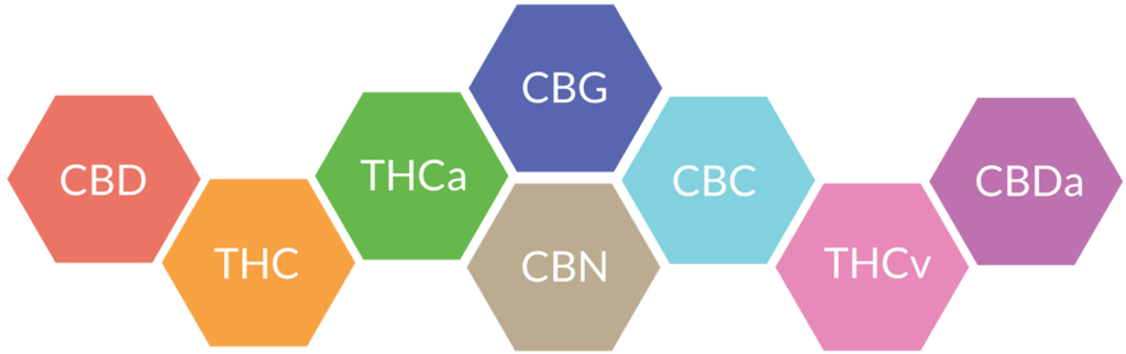 cannabinoids.png