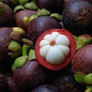 mangosteen.jpg