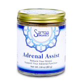 Sarvaa Superfood ADRENAL ASSIST - Heal Adrenal Fatigue, Improve Stamina and Mood. Balance your Autonomic Nervous System. Powerful support for your adrenals. Balance adrenal fatigue, lower your stress response, increase your endurance, better your sleep, boost your resilience, support your Autonomic Nervous System. 100% Organic, Non-GMO, Vegan. 