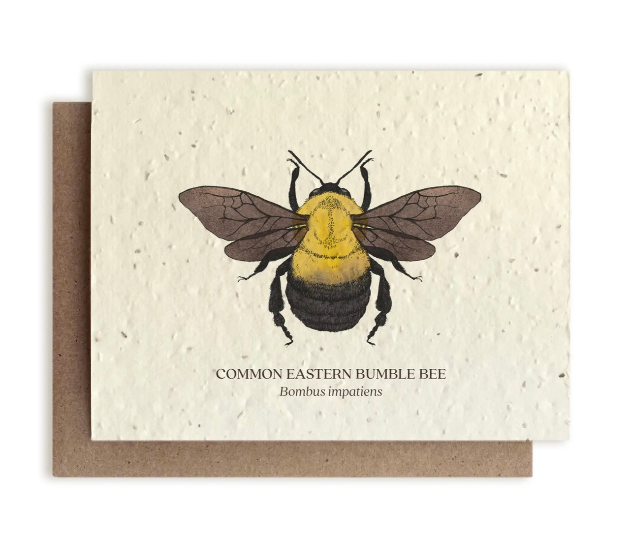 Honey Bee Plantable Note Card Printed on Wildflower Seed Paper