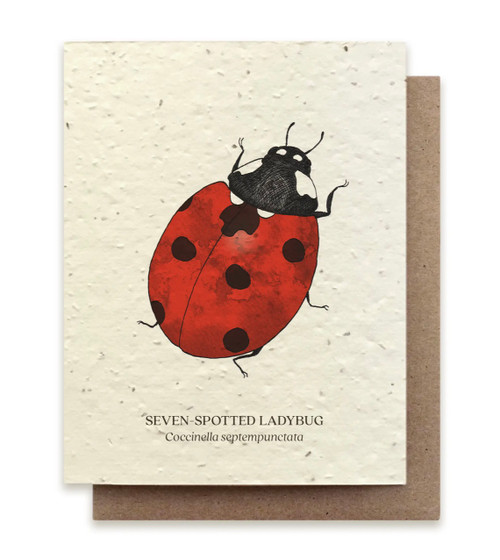 Seven Spotted Ladybug on plantable notecard