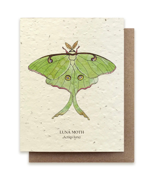 Luna Moth on plantable notecard.