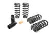 Eibach Pro-Kit for 09-11 Cadillac CTS-V 6.2L V8