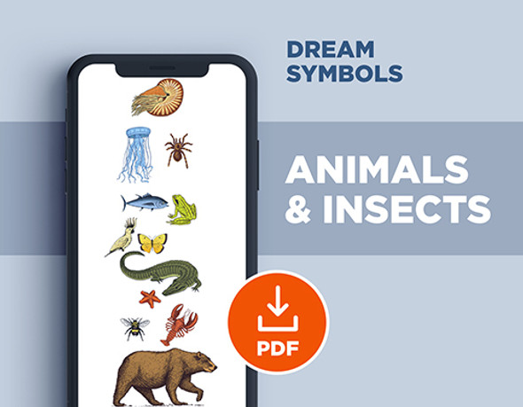 Animals, Insects