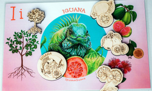 Iguana Vegan Play Food Bundle Iguana Vegan Play Food Bundle