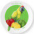 Be-Ve Kids Personalized Parrot Plate for Children Meet Bella Pepper Be-Ve Kids Personalized Parrot Plate for Children Meet Bella Pepper